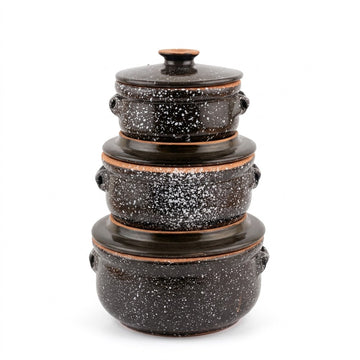 Midnight Speckle Casserole Pot