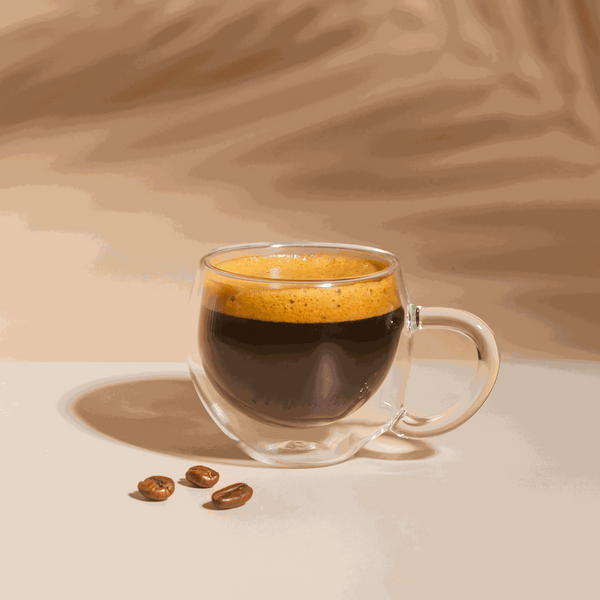 Double Glass Espresso Mug