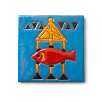 Dahab Fish Coaster