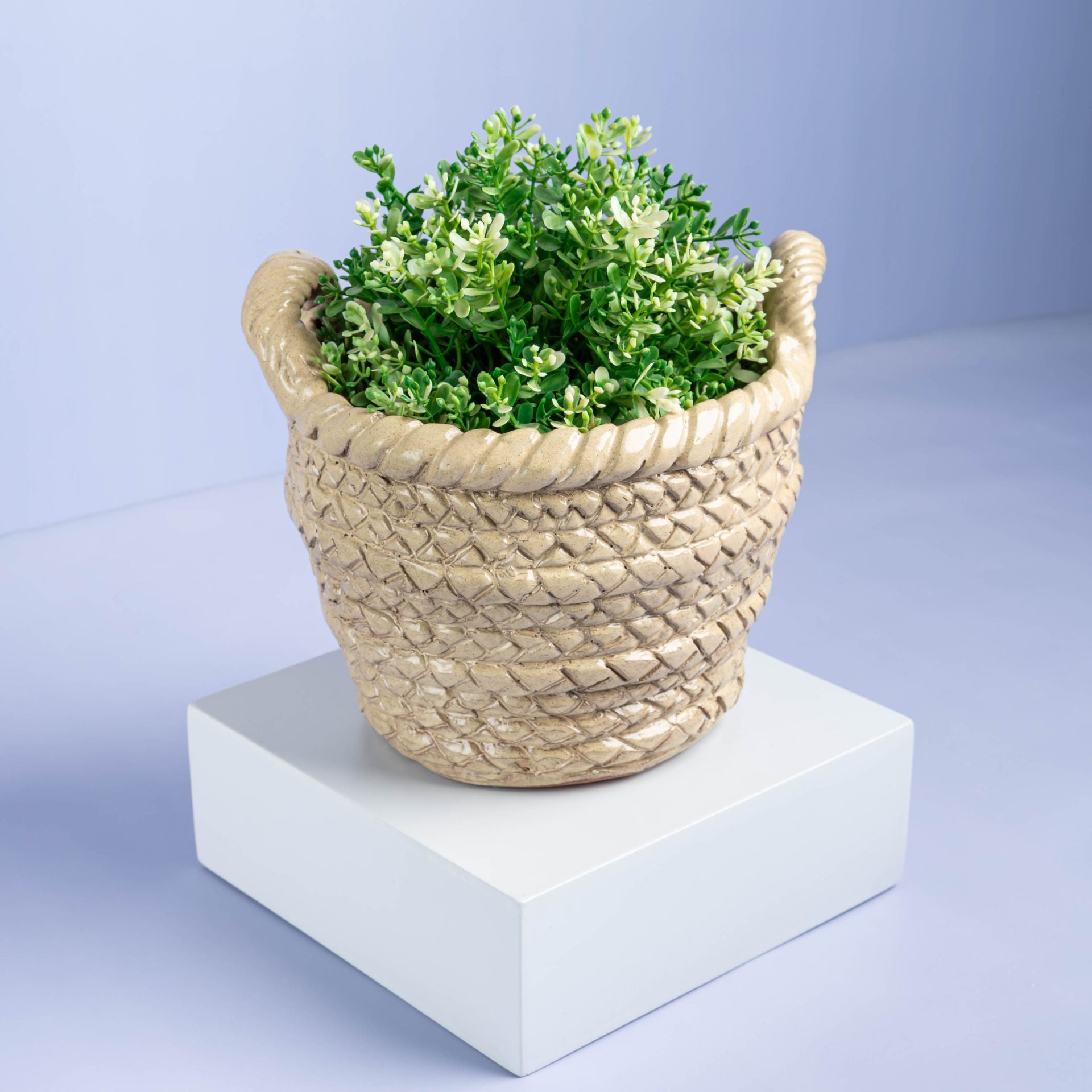 Weaved Basket Plant Pot