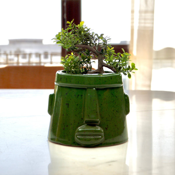 Green Pottery Pot